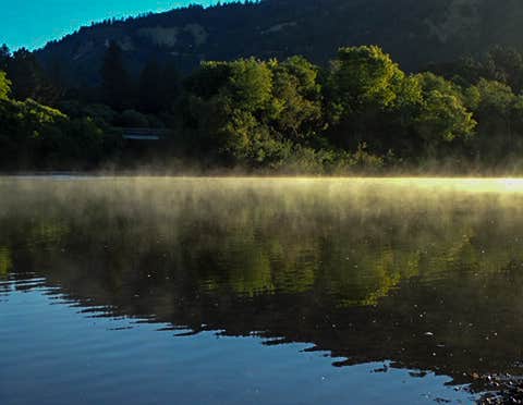 Camper-submitted photo at Casini Ranch Family Campground near Sebastopol, CA