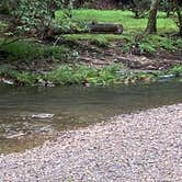 Review photo of Royal Oak Campground — Hungry Mother State Park by Stephen D., August 14, 2020