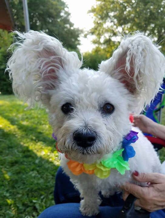 Camper-submitted photo at Whitebreast Campground near Swan, IA