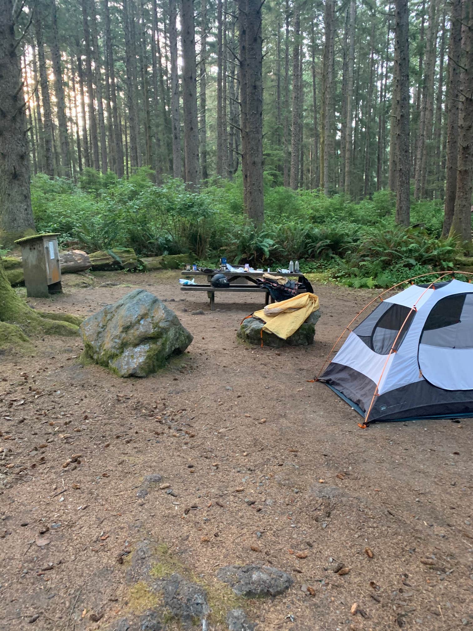 Steve H.'s photo at Abalone Campground — Sue-meg State Park near McKinleyville, CA