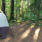 Review photo of Battle Ground Lake State Park Campground by Brian B., August 14, 2020