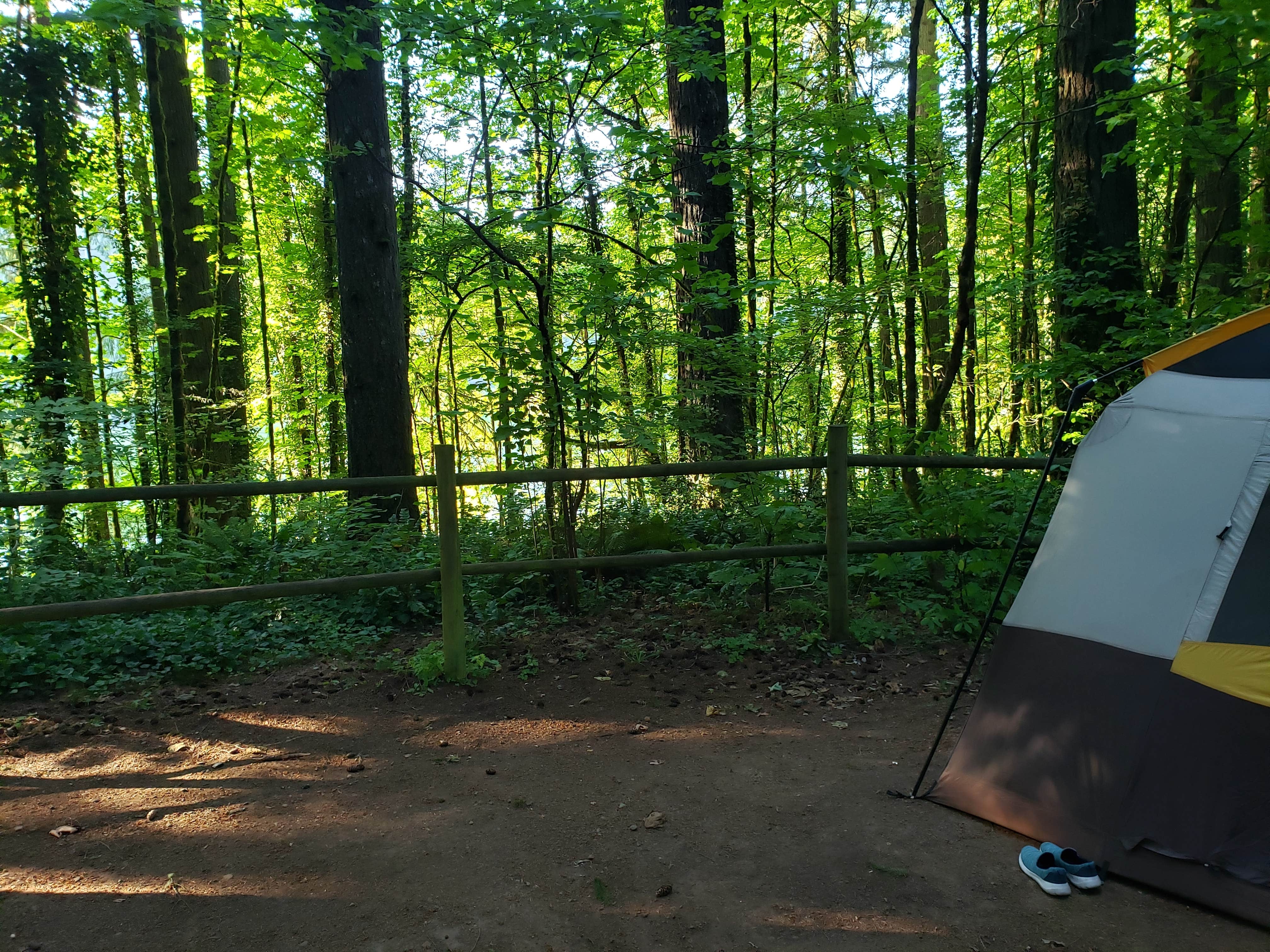 Brian B.'s photo at Battle Ground Lake State Park Campground near Heisson, WA