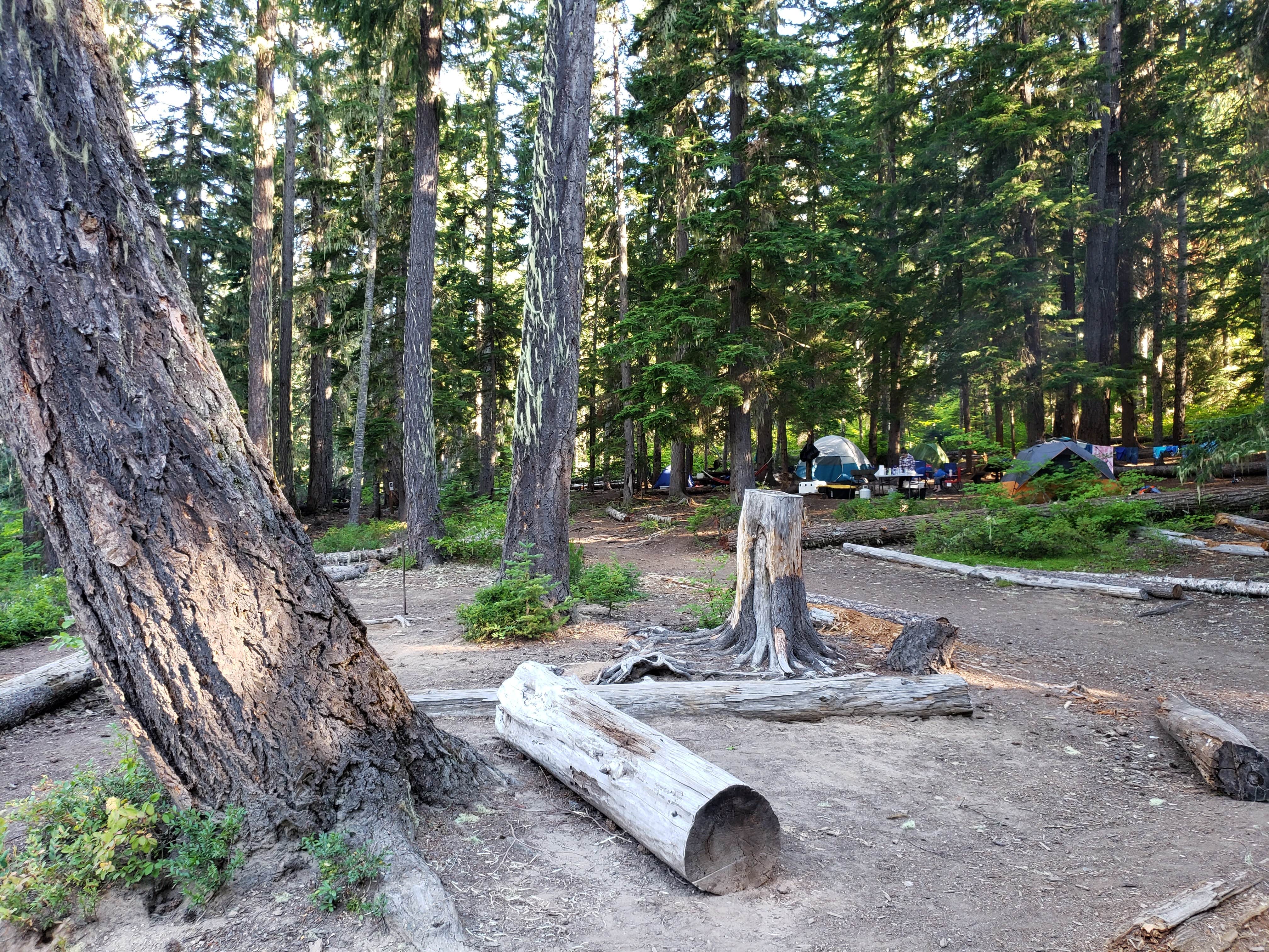 Issaquah - Photo 2