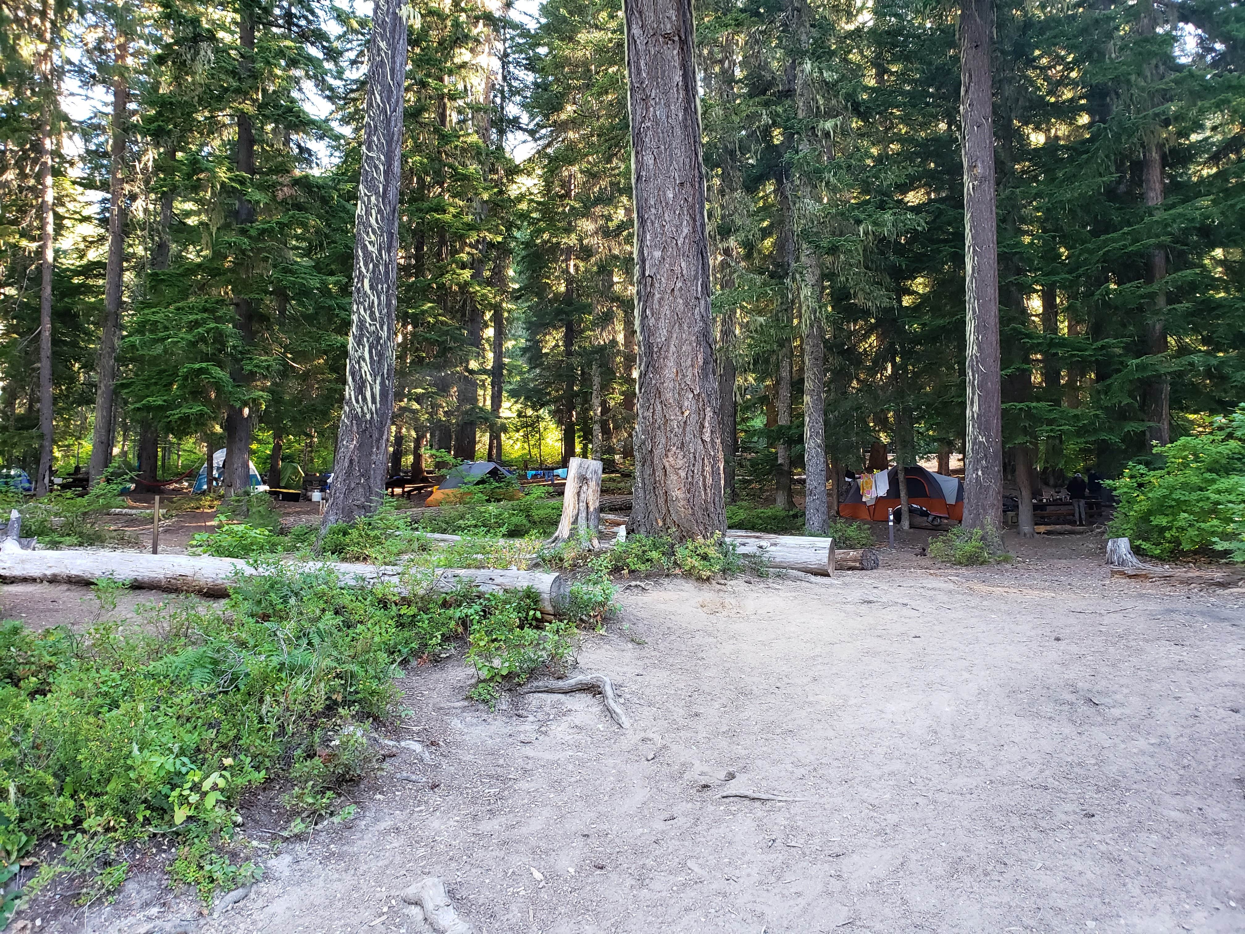 Camper-submitted photo at Owhi Campground near Snoqualmie Pass, WA