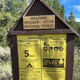 Review photo of Toppings Lake in Bridger-Teton National Forest by canyongirl100  , August 14, 2020