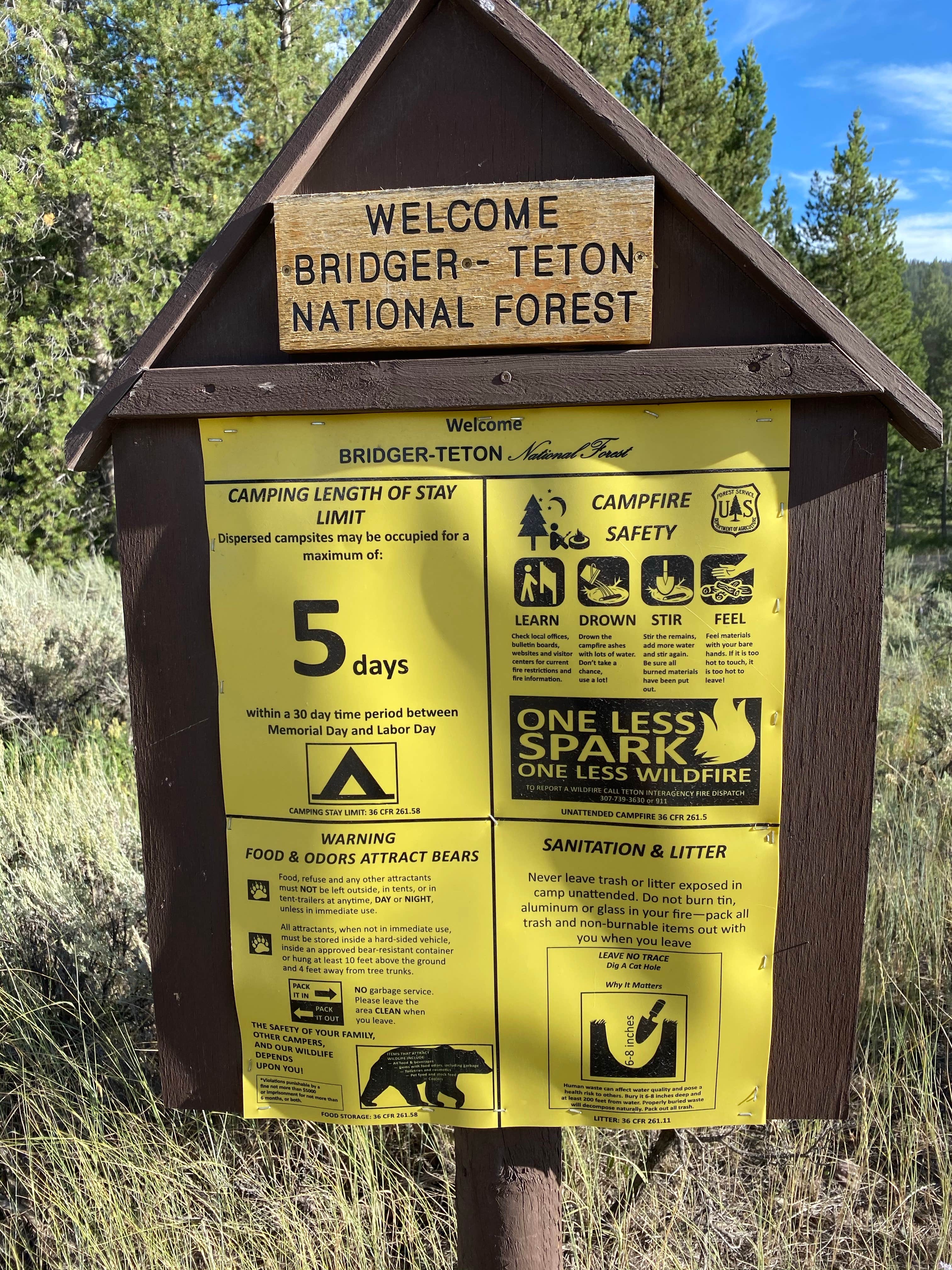 Camper submitted image from Toppings Lake in Bridger-Teton National Forest - 4