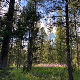 Review photo of Toppings Lake in Bridger-Teton National Forest by canyongirl100  , August 14, 2020