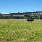 Review photo of Toppings Lake in Bridger-Teton National Forest by canyongirl100  , August 14, 2020