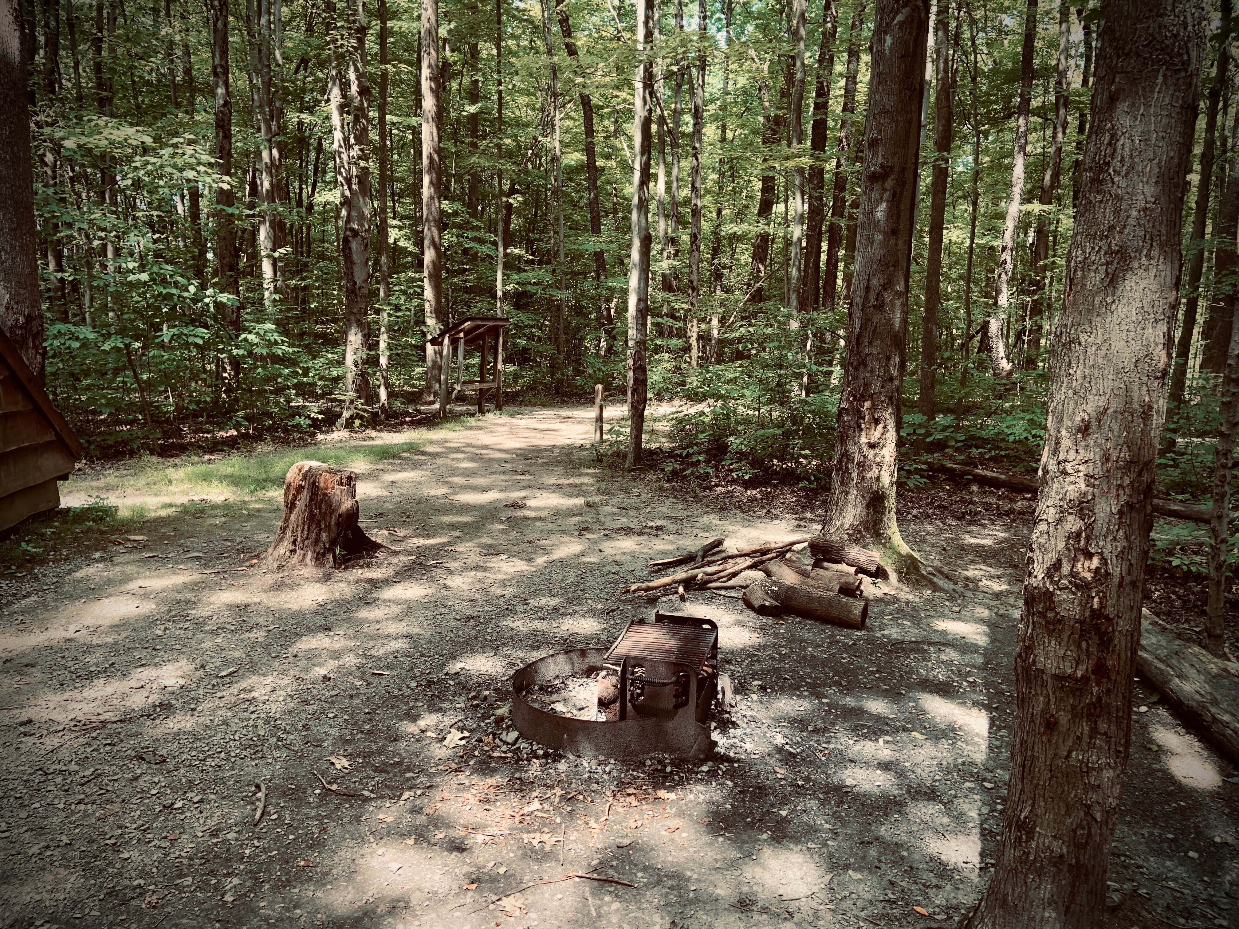 Camper-submitted photo at Big Creek Park near Berea, OH