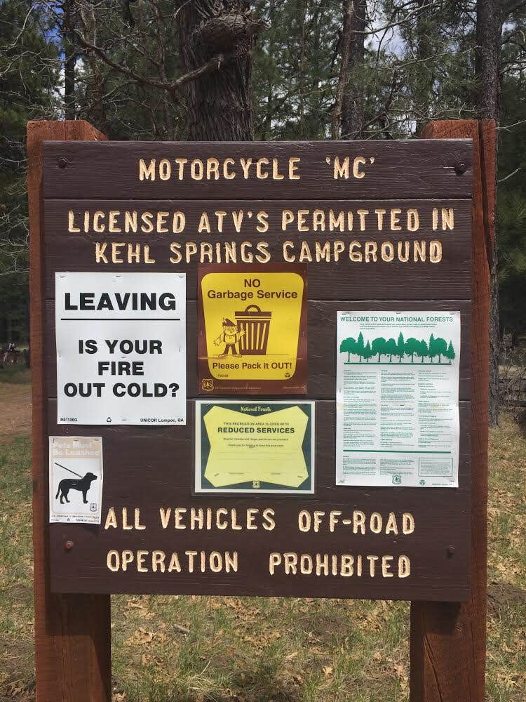 Camper submitted image from Kehl Springs Campground - 5