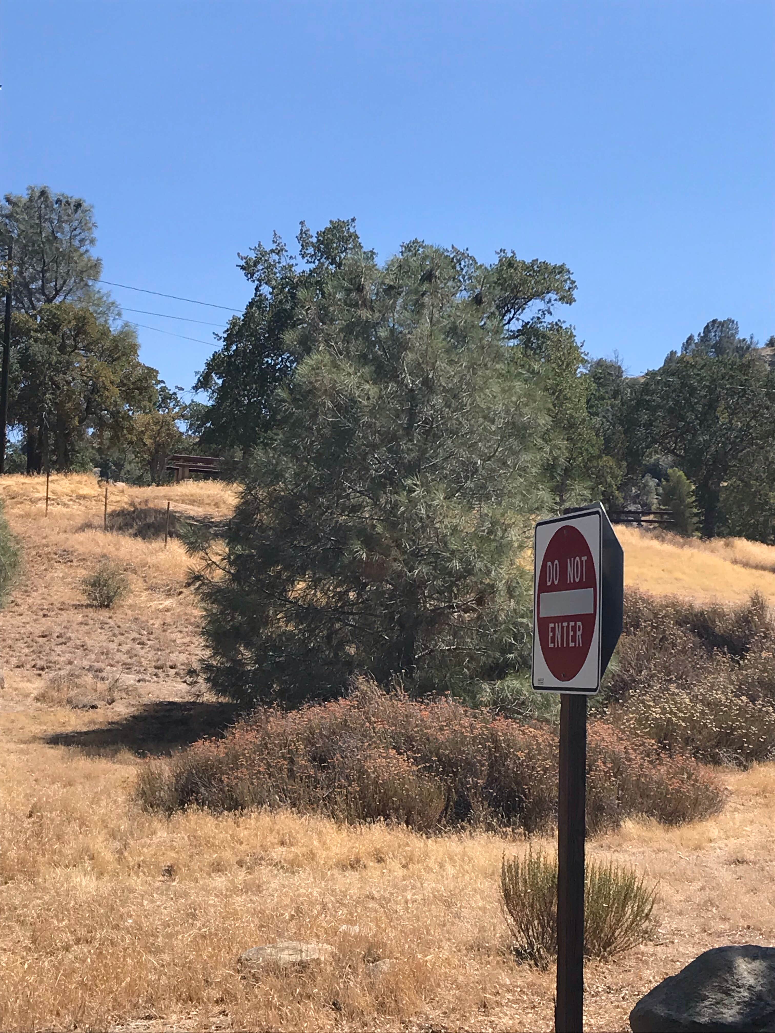 Camper submitted image from Pioneer Point - 3