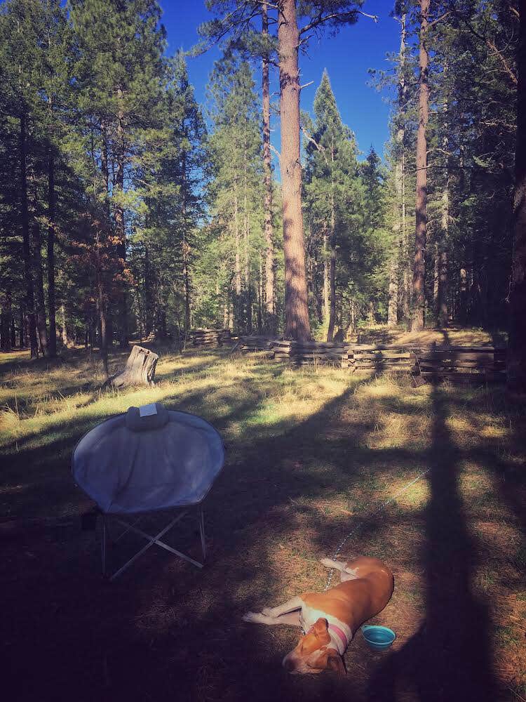 Elizabeth C.'s photo at Kehl Springs Campground near Payson, AZ