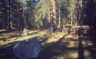 Elizabeth C.'s photo at Kehl Springs Campground near Pine, AZ