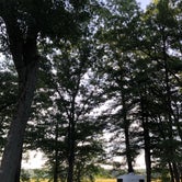 Review photo of Great Bay Camping by Marne D., August 14, 2020