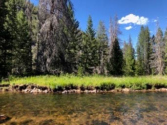 Camper-submitted photo at Boulder Creek near Wise River, MT
