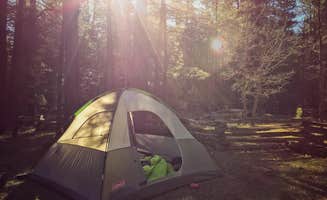 Elizabeth C.'s photo at Kehl Springs Campground near Strawberry, AZ
