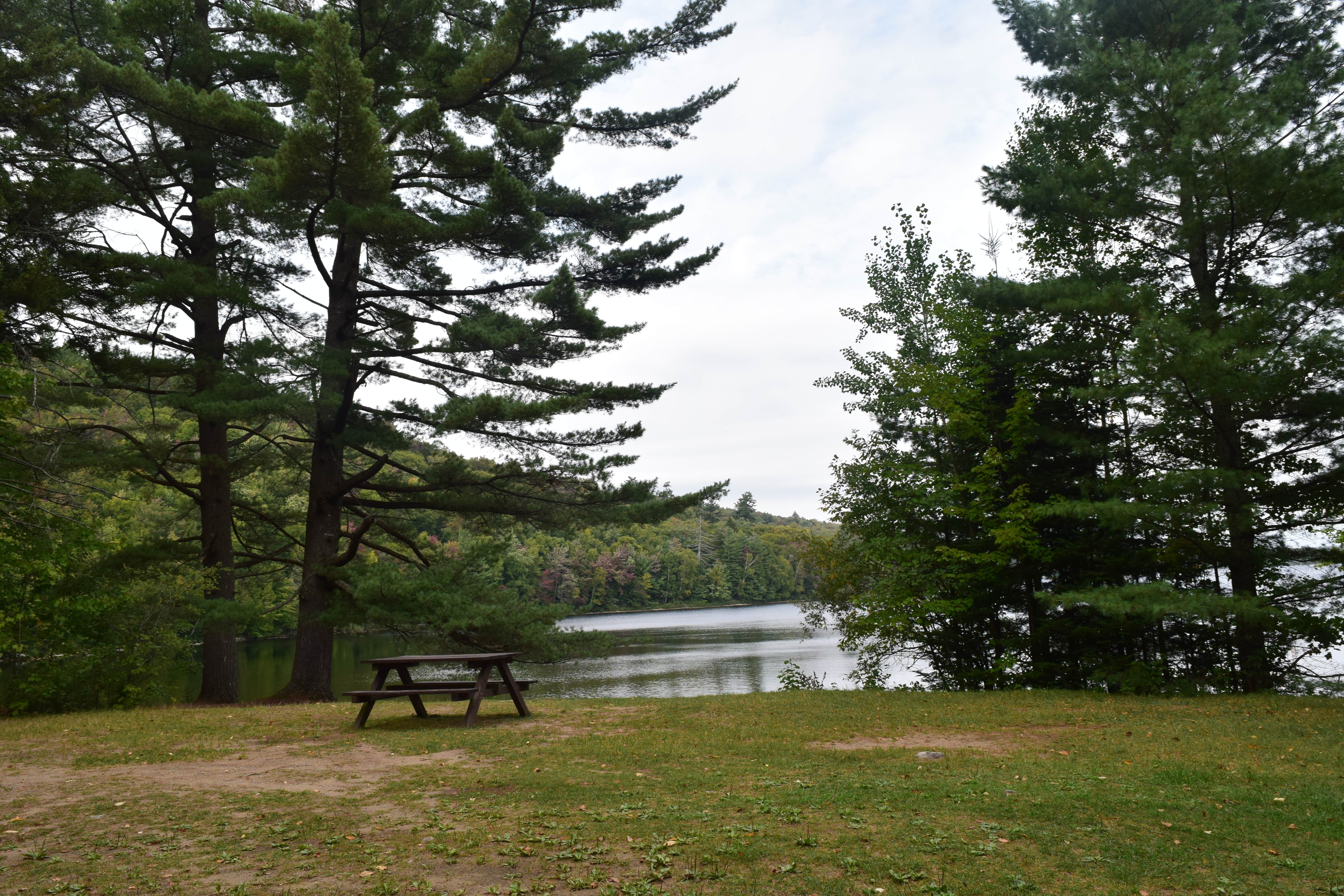 Camper submitted image from Eighth Lake Adirondack Preserve - 5