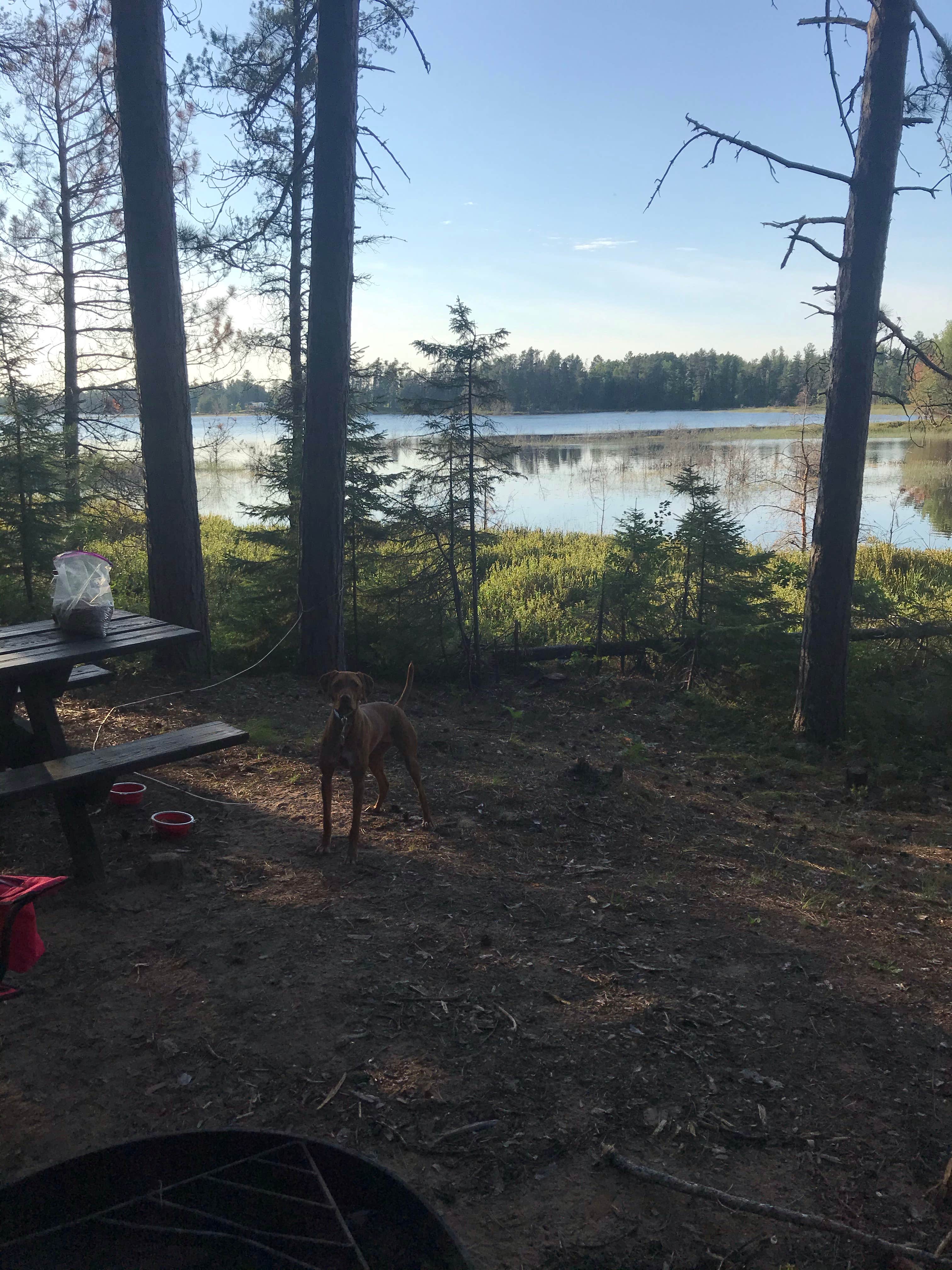 Tracy W.'s photo at Big Lake State Forest Campground near Trout Creek, MI