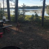 Review photo of Big Lake State Forest Campground by Tracy W., August 15, 2020