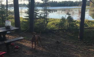 Tracy W.'s photo of camping with pets at Big Lake State Forest Campground near Dollar Bay, MI