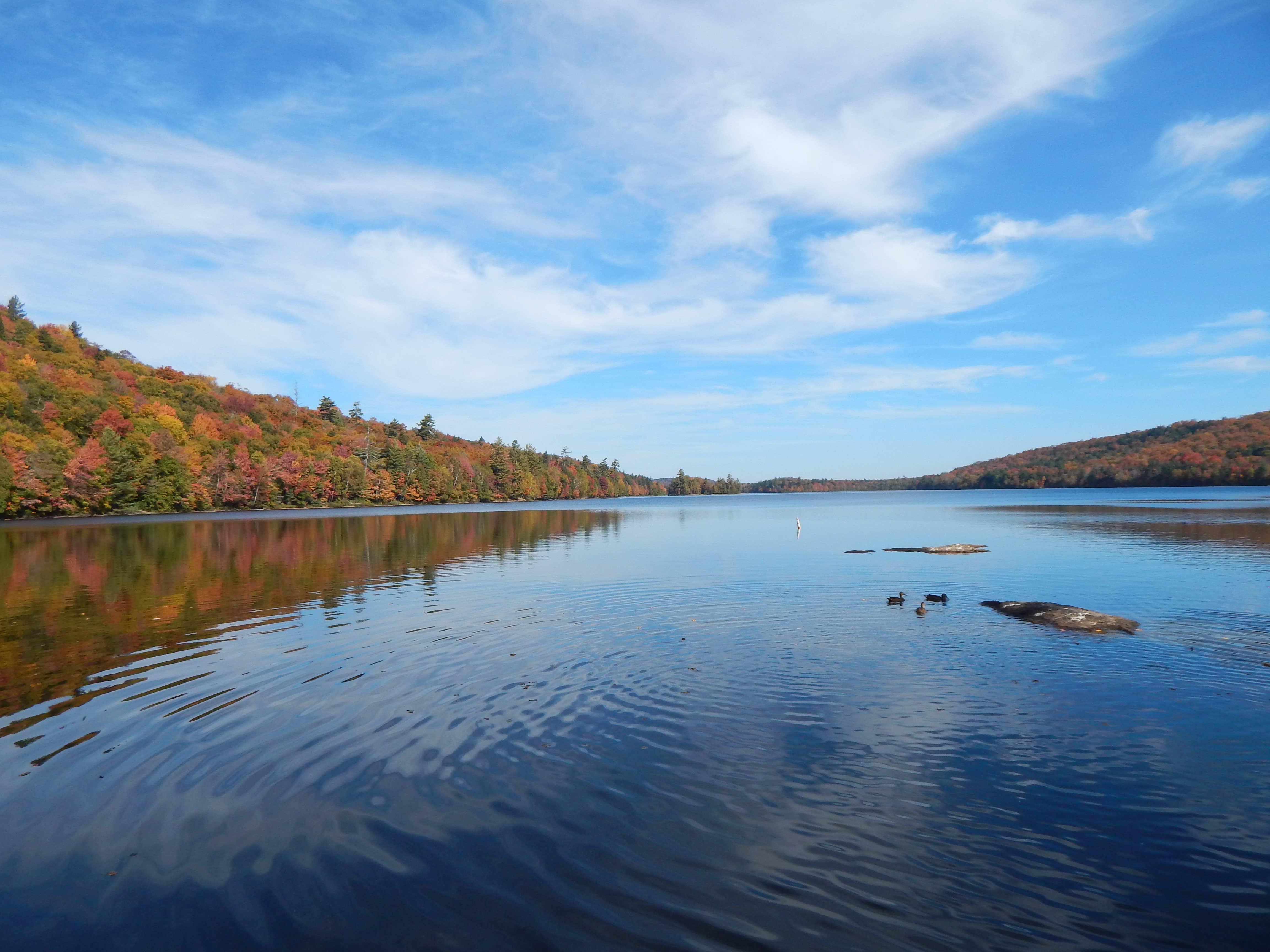 Camper submitted image from Eighth Lake Adirondack Preserve - 4