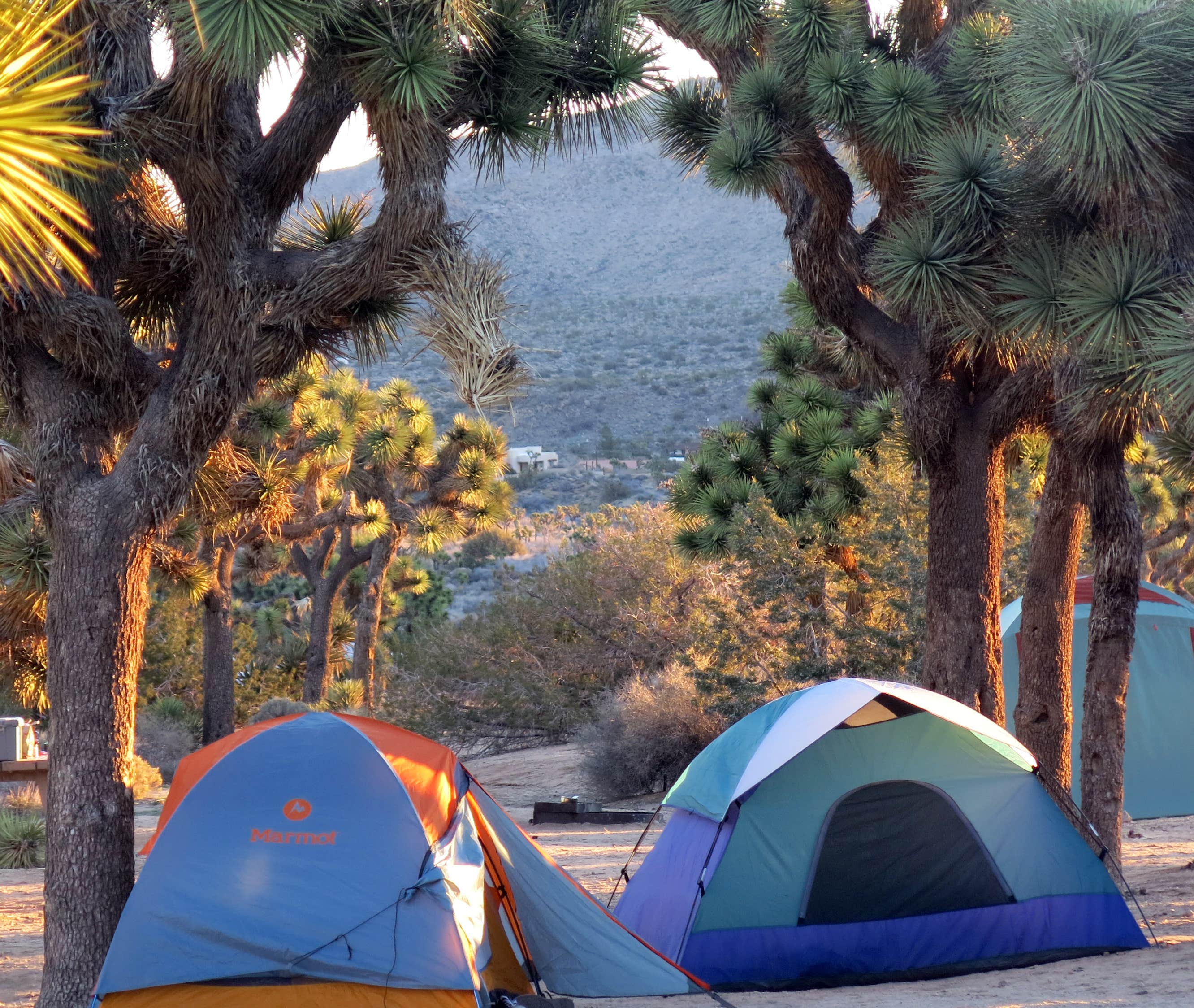Camper submitted image from Black Rock Campground (Lassen NF) - 5