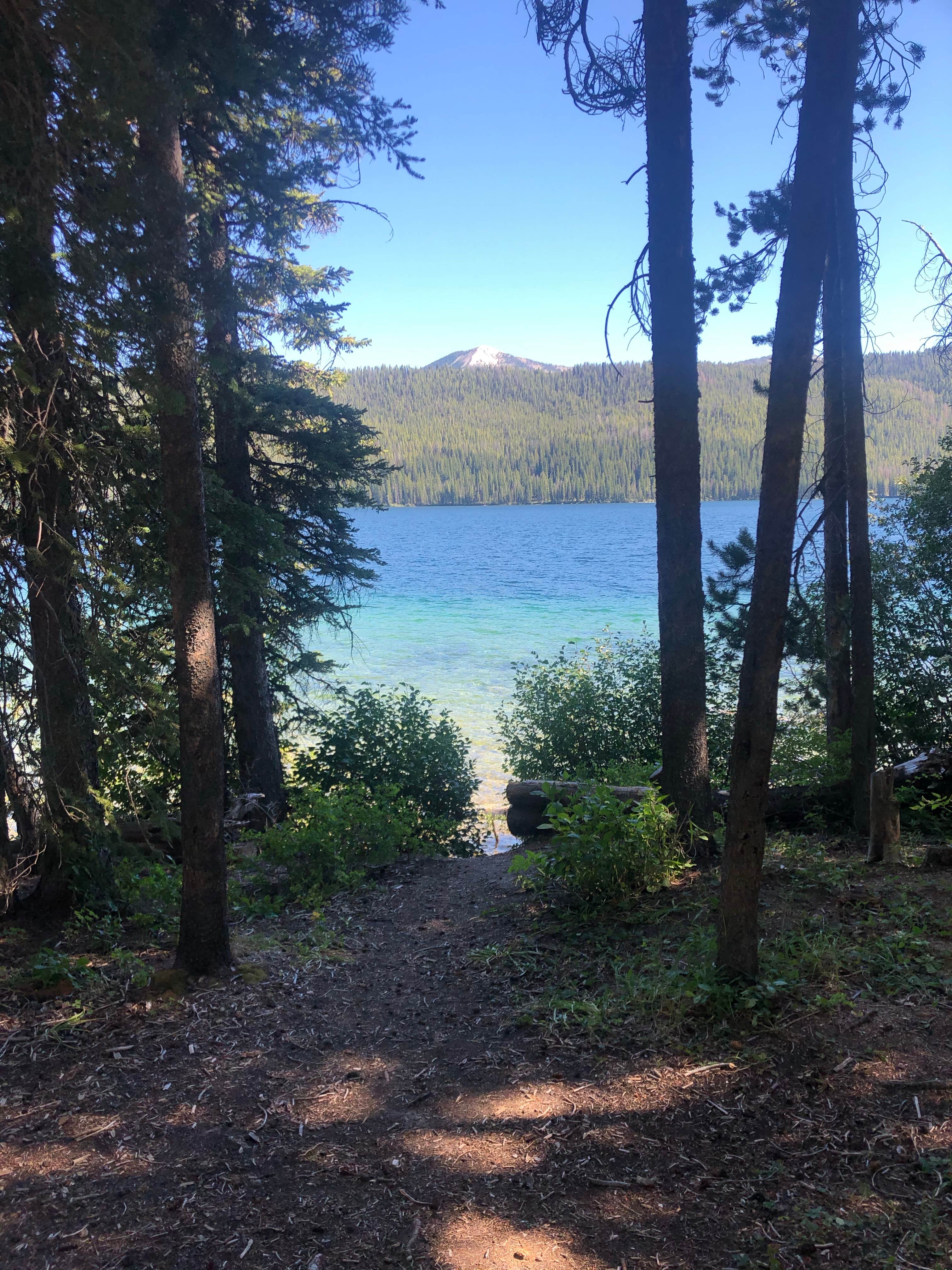 Camper-submitted photo at North Shore Campground (Alturas) near Sawtooth National Forest