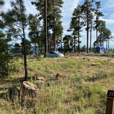 Review photo of Carr Lake Campground on Forest Road 9350 by Debbie Z., August 15, 2020