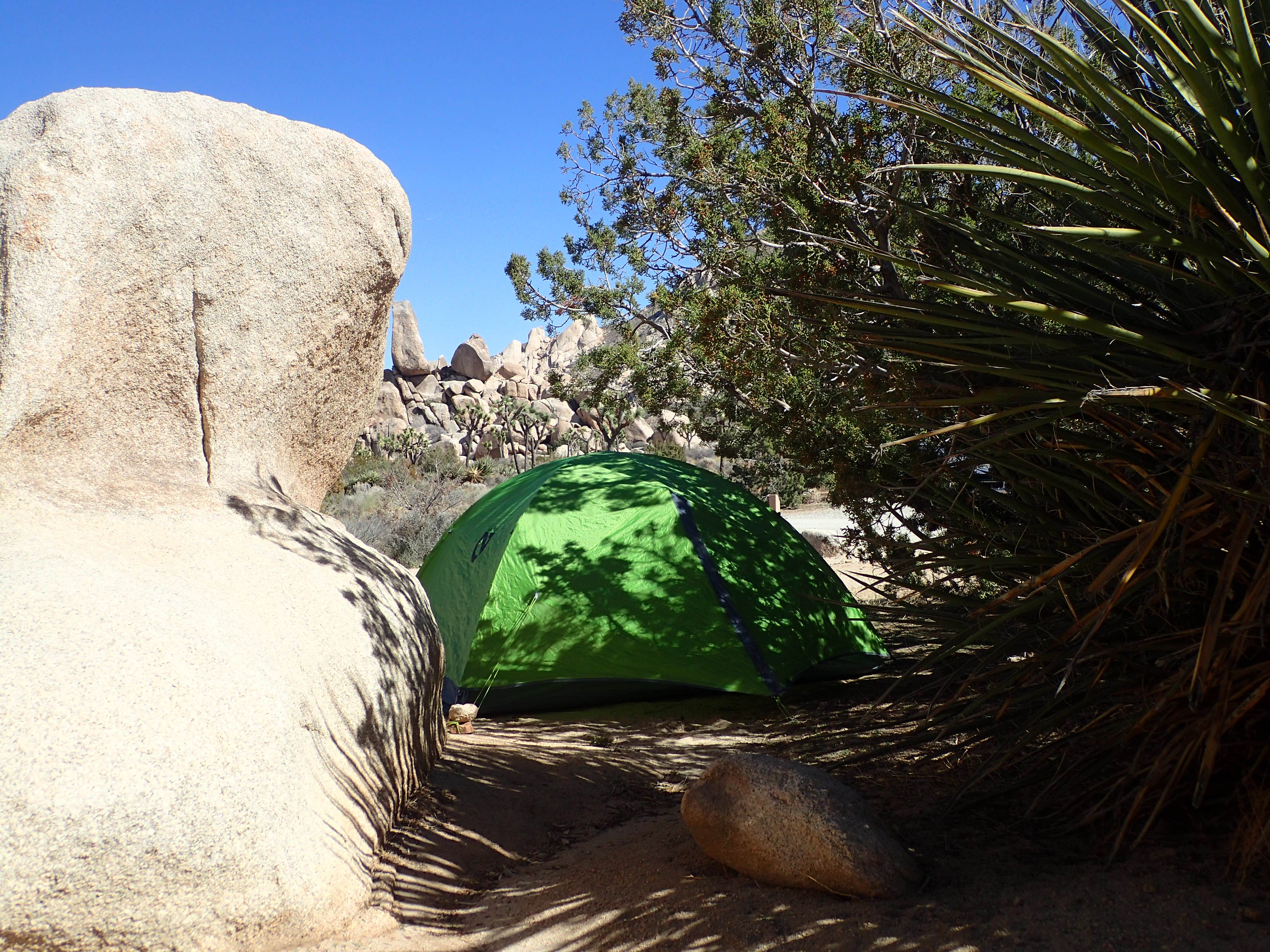 MarinMaverick's photo at Ryan Campground — Joshua Tree National Park near Bermuda Dunes, CA