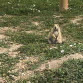 Review photo of Badlands / White River KOA by Macel C., August 15, 2020