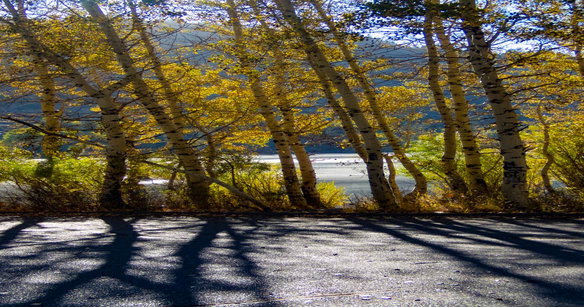 Camper submitted photos of inyo national forest june lake campground
