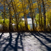 Review photo of June Lake Campground by MarinMaverick , August 15, 2020