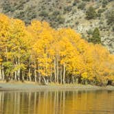 Review photo of Silver Lake Campground at June Lake by MarinMaverick , August 15, 2020