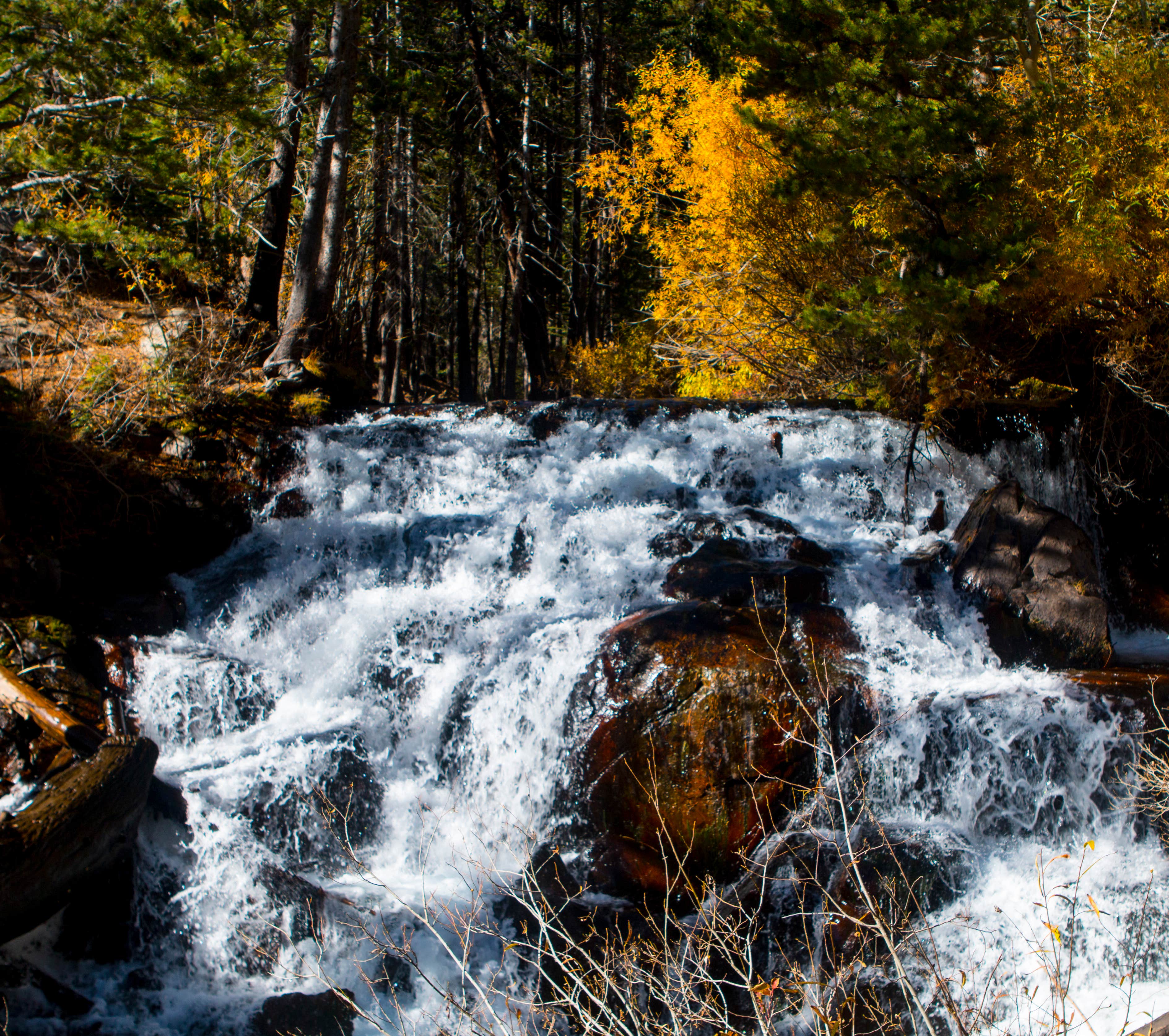 Camper submitted image from Moraine Overflow Campground - 2