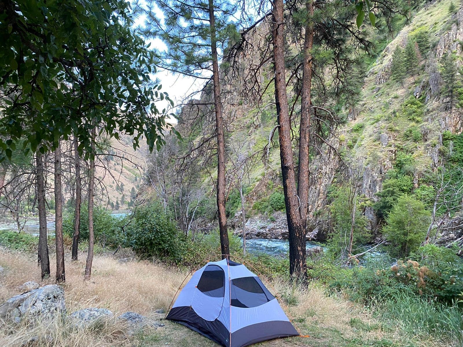 Dave L.'s photo of tent camping at Van Creek Campground near Oxbow, OR