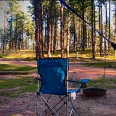 Review photo of Big Pine Campground by Macel C., August 6, 2020