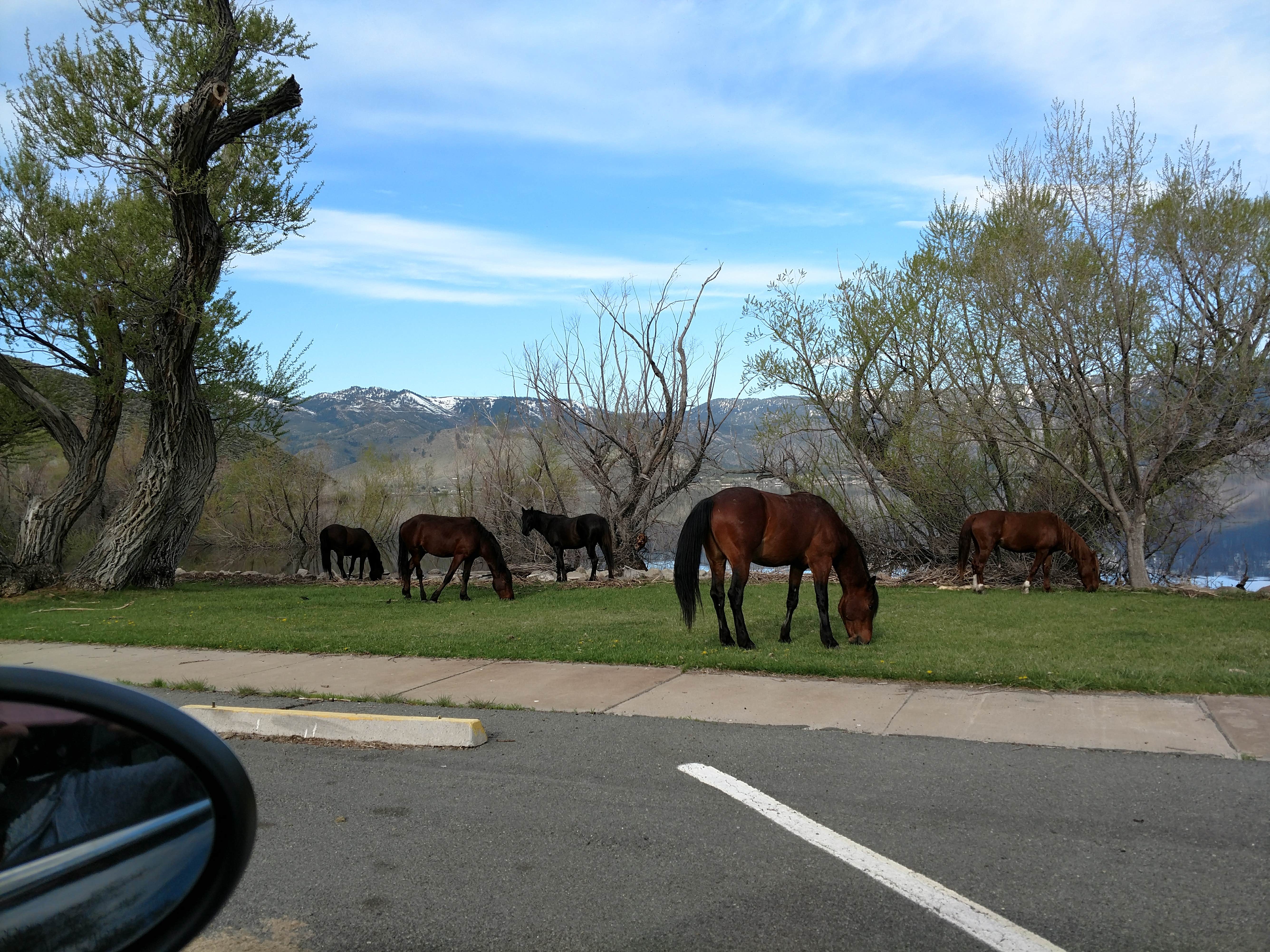 Camper-submitted photo at Washoe Lake State Park Campground near Virginia City, NV
