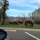 Review photo of Washoe Lake State Park Campground by Debbie C., April 27, 2018