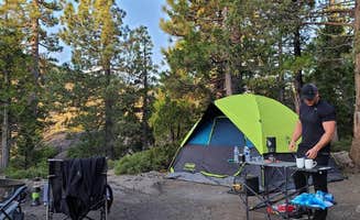 Jesse H.'s photo of tent camping at Bowman Campground near La Porte, CA