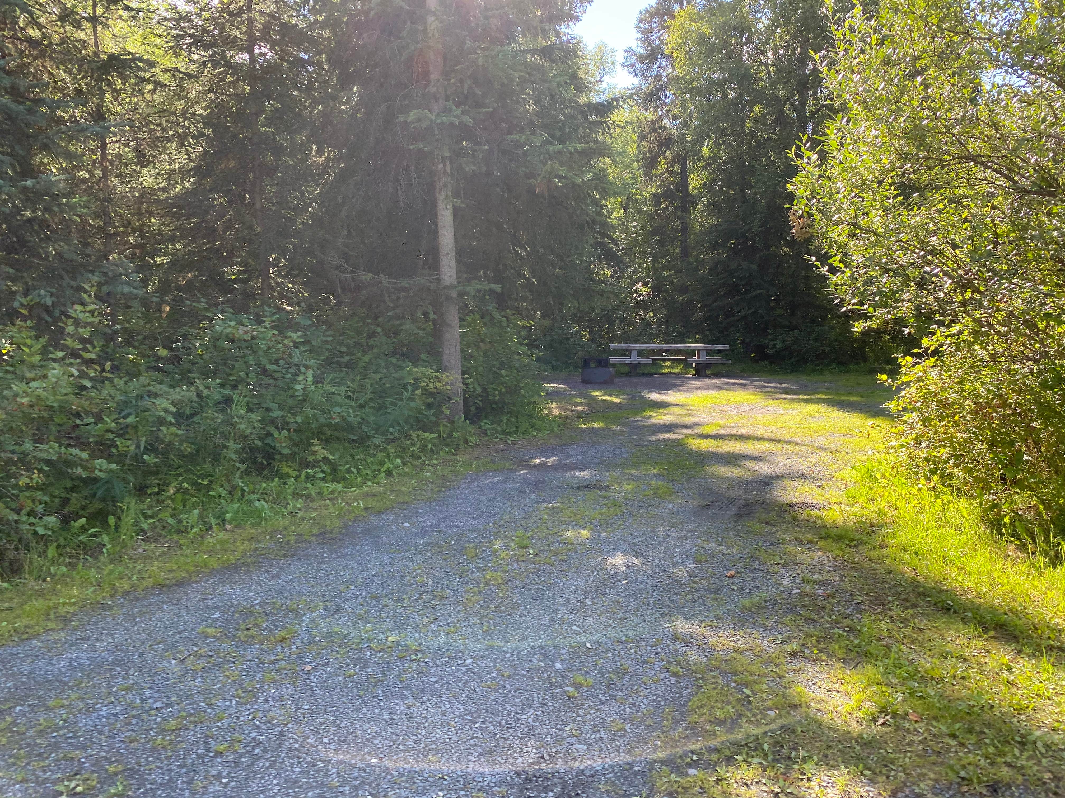 Camper submitted image from Cooper Creek North Campground - 4