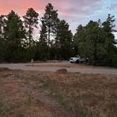 Review photo of Fool Hollow Lake Recreation Area Campground by Eny O., August 15, 2020