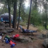 Review photo of Fool Hollow Lake Recreation Area Campground by Eny O., August 15, 2020