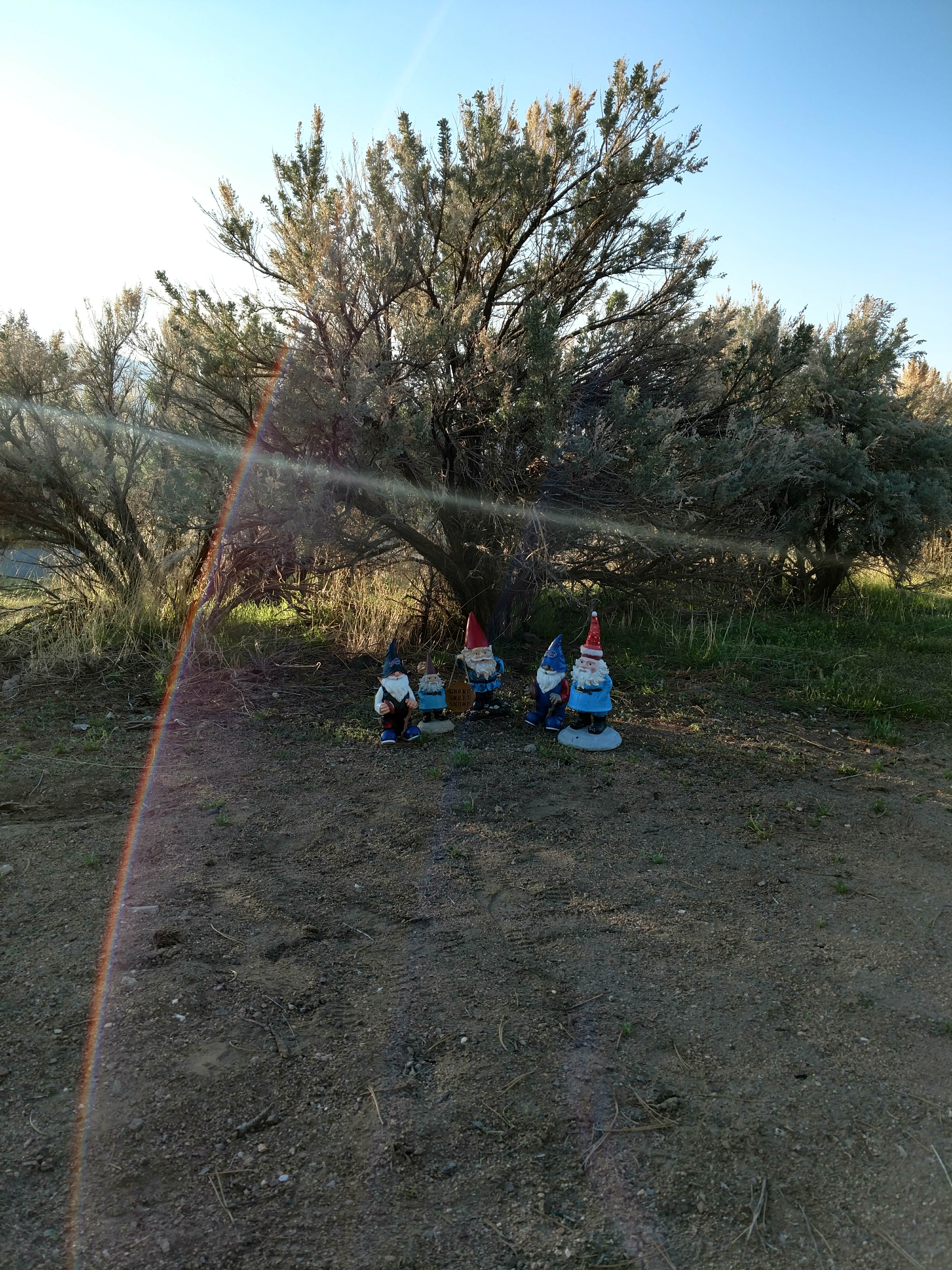 Debbie C.'s photo at Washoe Lake State Park Campground in Nevada