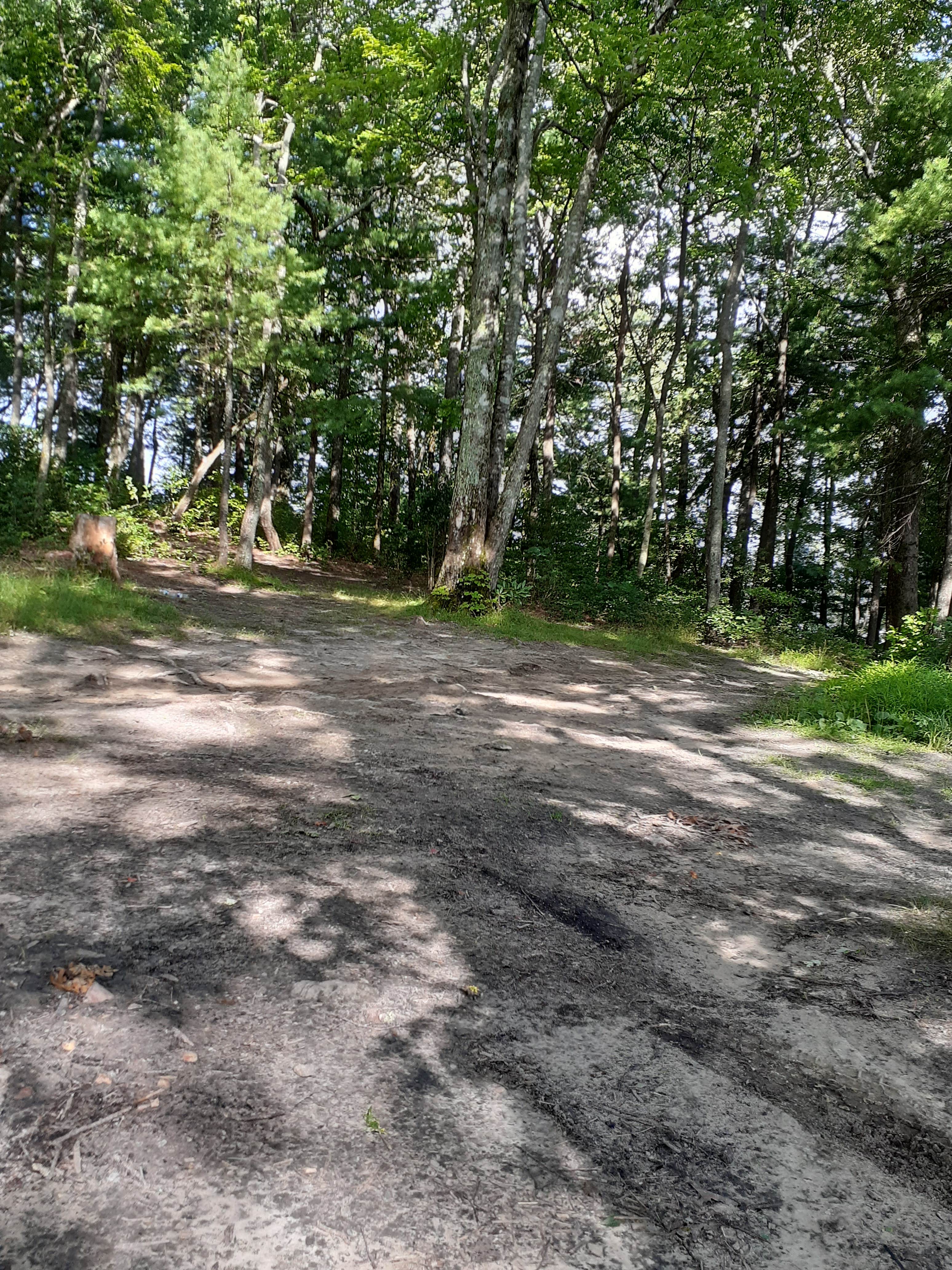Camper-submitted photo at Linville Gorge Wilderness Dispersed Camping--Western Section, NC 128 he near Jonas Ridge, NC