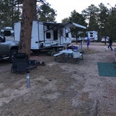 Review photo of Peregrine Pines FamCamp by Megan R., April 28, 2018