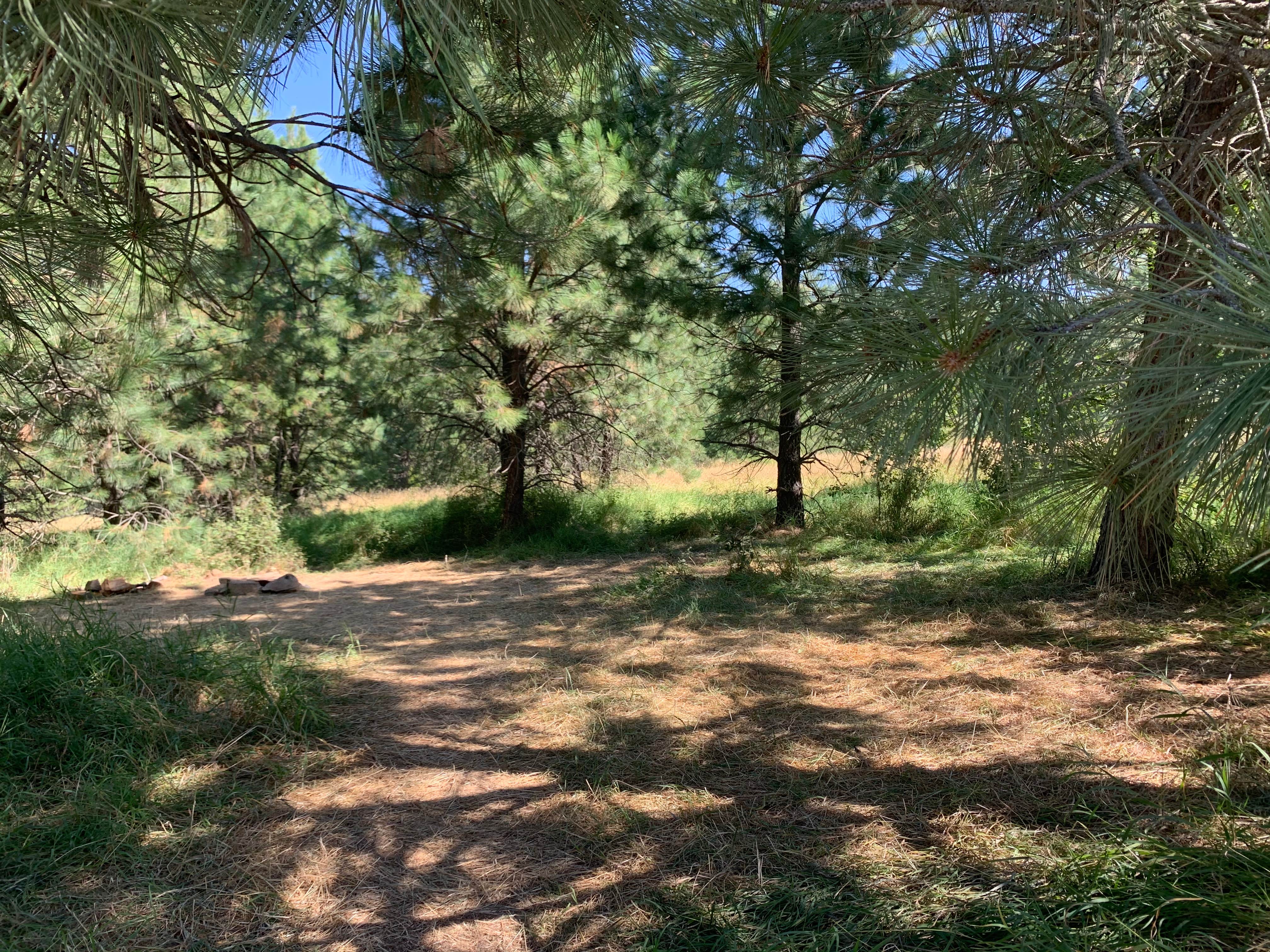 Camper-submitted photo at Rose Lake near Potlatch, ID