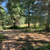 Review photo of Rose Lake by Kathleen D., August 15, 2020