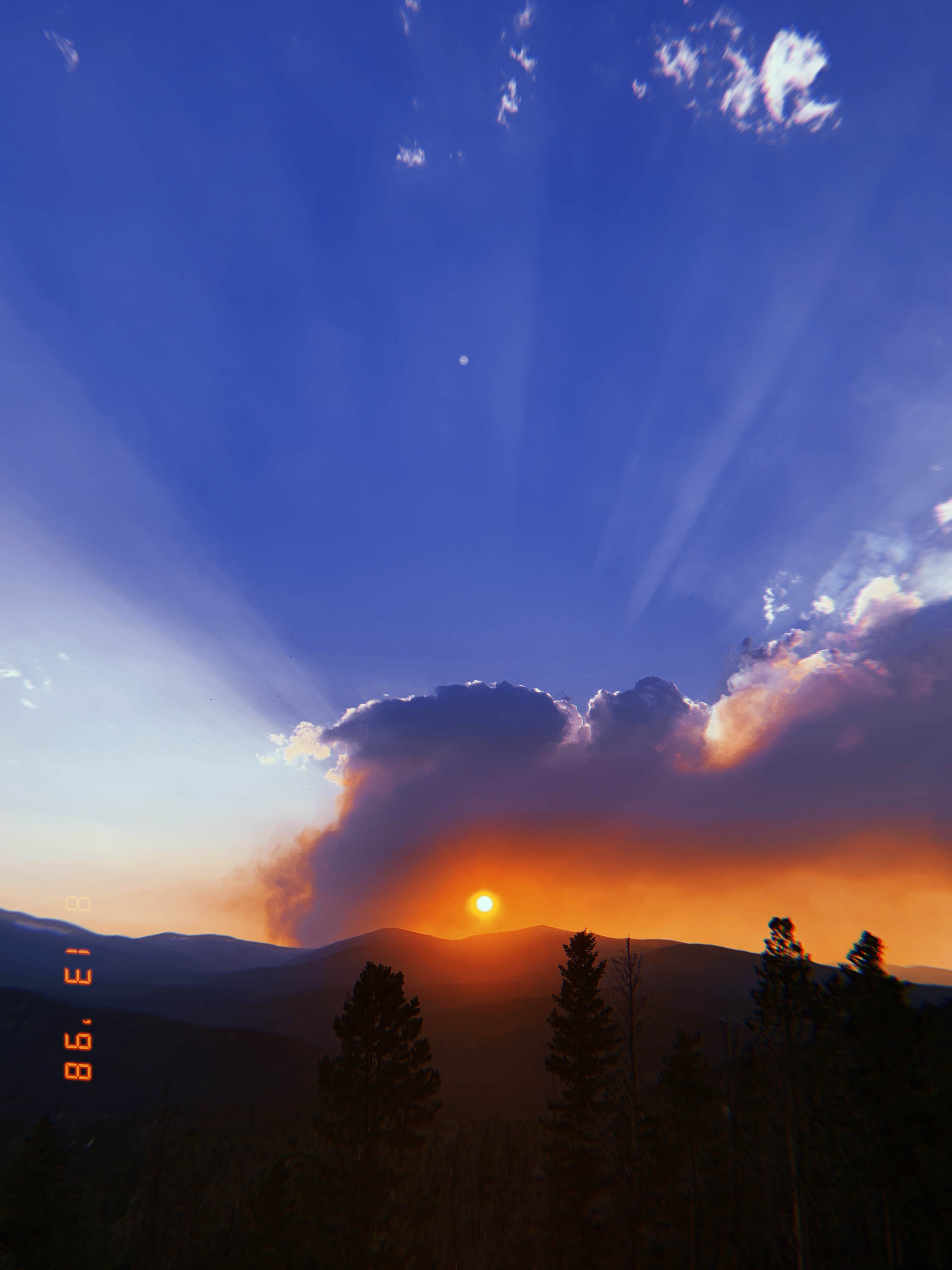 View All