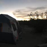 Review photo of Jumbo Rocks Campground — Joshua Tree National Park by Kayla M., April 28, 2018