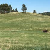 Review photo of Elk Mountain Campground — Wind Cave National Park by Brooke H., August 15, 2020